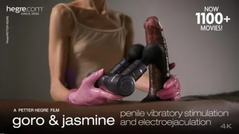 Penile Vibratory Stimulation and Electroejaculation - Goro And Jasmine